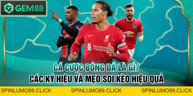 Cá Cược Bóng Đá Là Gì? Các Ký Hiệu Và Mẹo Soi Kèo Hiệu Quả - SPINLUMO89