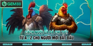Các Loại Hình Đá Gà GEM88 Hấp Dẫn Nhất Trực Tiếp Từ Thomo - SPINLUMO89