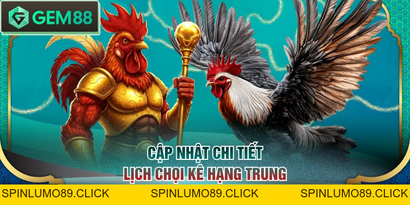 Lịch Trực Tiếp Đá Gà Tre Mới Nhất - Xem Chọi Kê Dễ Dàng - SPINLUMO89