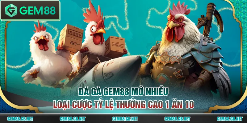 Các Loại Hình Đá Gà GEM88 Hấp Dẫn Nhất Trực Tiếp Từ Thomo - SPINLUMO89