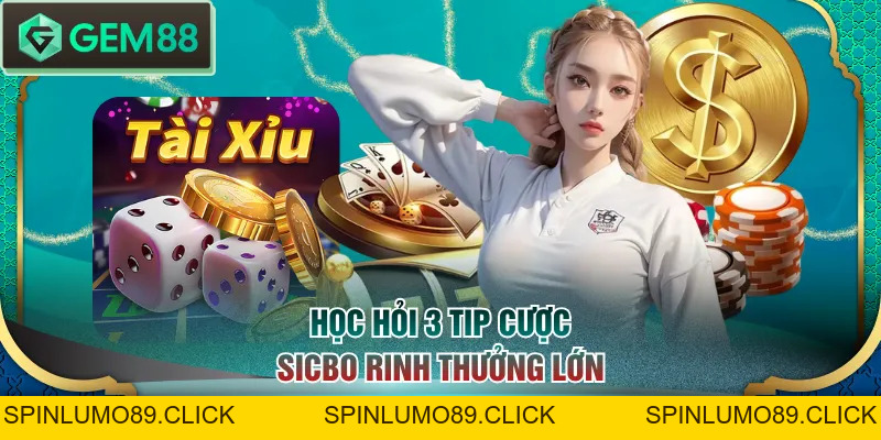Hướng Dẫn Cách Chơi Tài Xỉu Chi Tiết Cho Người Mới Nhập Môn - SPINLUMO89