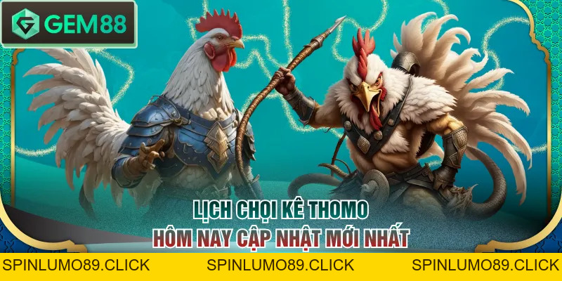 Xem Đá Gà Trực Tiếp Thomo 24/7 Miễn Phí, Chất Lượng Cao - SPINLUMO89