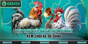 Các Loại Hình Đá Gà GEM88 Hấp Dẫn Nhất Trực Tiếp Từ Thomo - SPINLUMO89