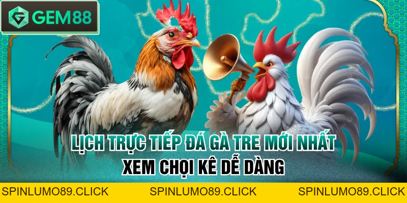 Lịch Trực Tiếp Đá Gà Tre Mới Nhất - Xem Chọi Kê Dễ Dàng - SPINLUMO89