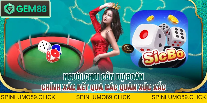 Tìm Hiểu Nguồn Gốc Tài Xỉu | Luật Chơi Chi Tiết Cần Nắm Rõ - SPINLUMO89