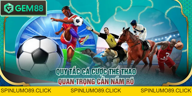 Cá Cược Thể Thao Đa Dạng Bộ Môn Cùng Luật Chơi Chi Tiết - SPINLUMO89