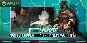 Các Loại Hình Đá Gà GEM88 Hấp Dẫn Nhất Trực Tiếp Từ Thomo - SPINLUMO89