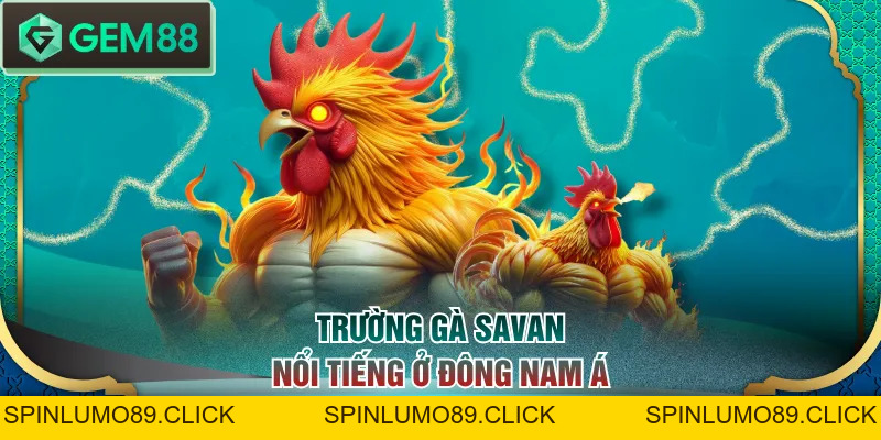 Trường Gà Savan - Nơi So Tài Của Nhiều Chiến Kê Danh Tiếng - SPINLUMO89