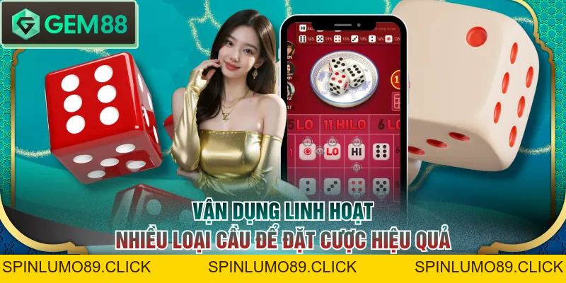 3 Cách Soi Cầu Tài Xỉu Đơn Giản Nắm Chắc 80% Tỷ Lệ Thắng - SPINLUMO89
