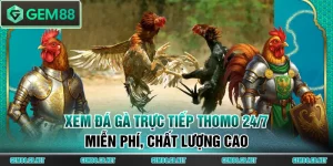 Các Loại Hình Đá Gà GEM88 Hấp Dẫn Nhất Trực Tiếp Từ Thomo - SPINLUMO89